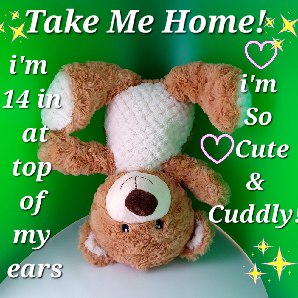 Cute Brown and White Teddy Bear - Picture 1 of 8